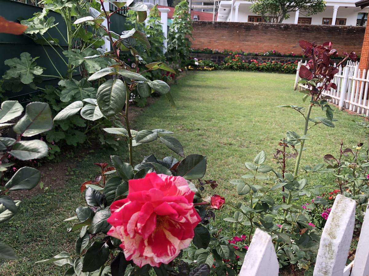 Bungalow 28 努沃勒埃利耶 外观 照片